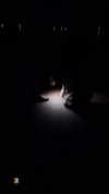 heathergrace67 Altpins Profile Picture