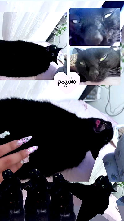 hellokittyangel666 hellokittyangel666 archive video