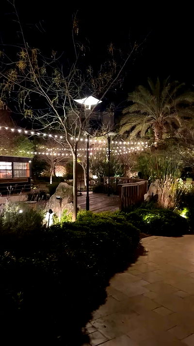 biton__adi biton__adi archive video