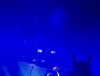 _michellemav_ Altpins Profile Picture