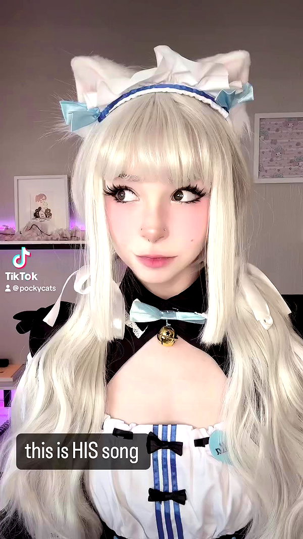 pockycatt archive video preview