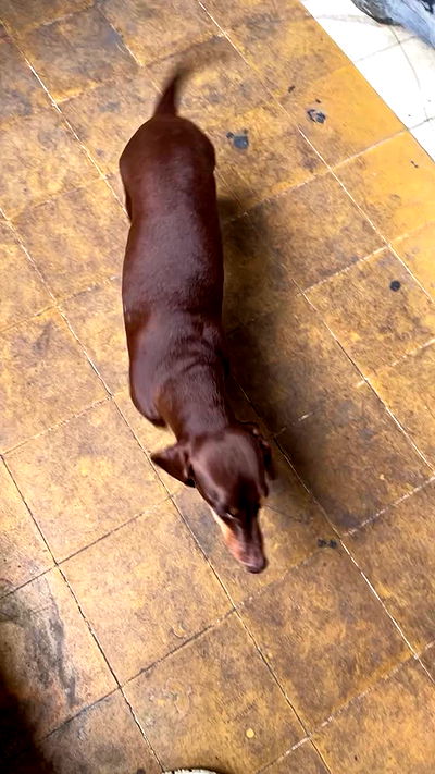 kteaworld kteaworld archive video