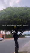 dianavgalvis Altpins Profile Picture