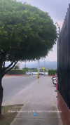 dianavgalvis Altpins Profile Picture