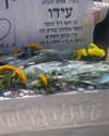 amit.yaron Altpins Profile Picture