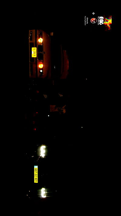 simp_for_cats_ simp_for_cats_ archive video