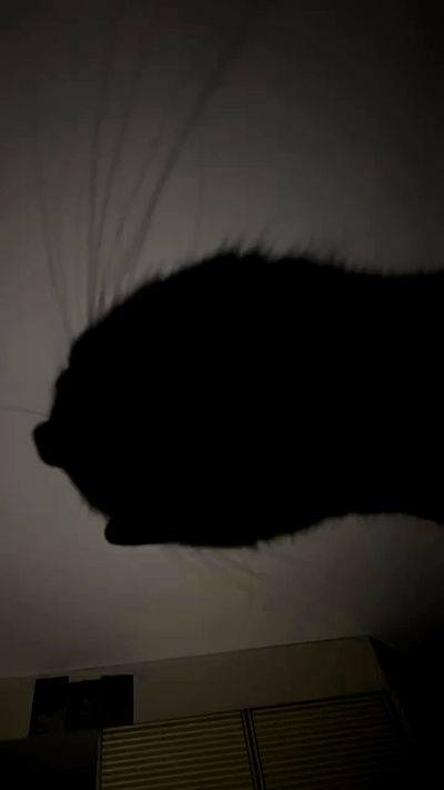 hellokittyangel666 hellokittyangel666 archive video