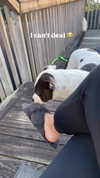 jade.schutte Altpins Profile Picture