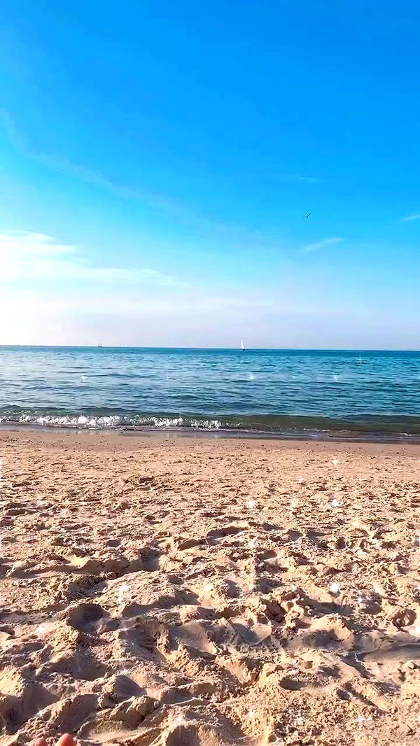 yam_adler archive video preview