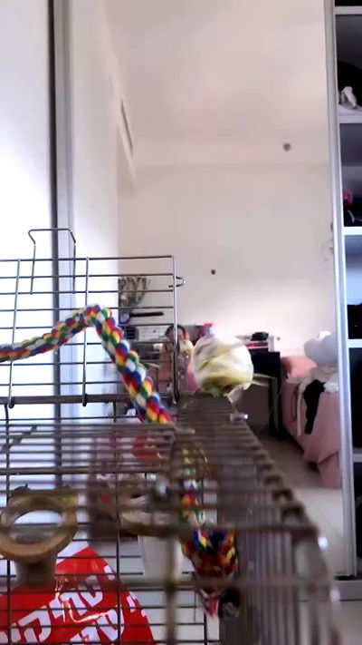 tinapavlov.sky tinapavlov.sky archive video