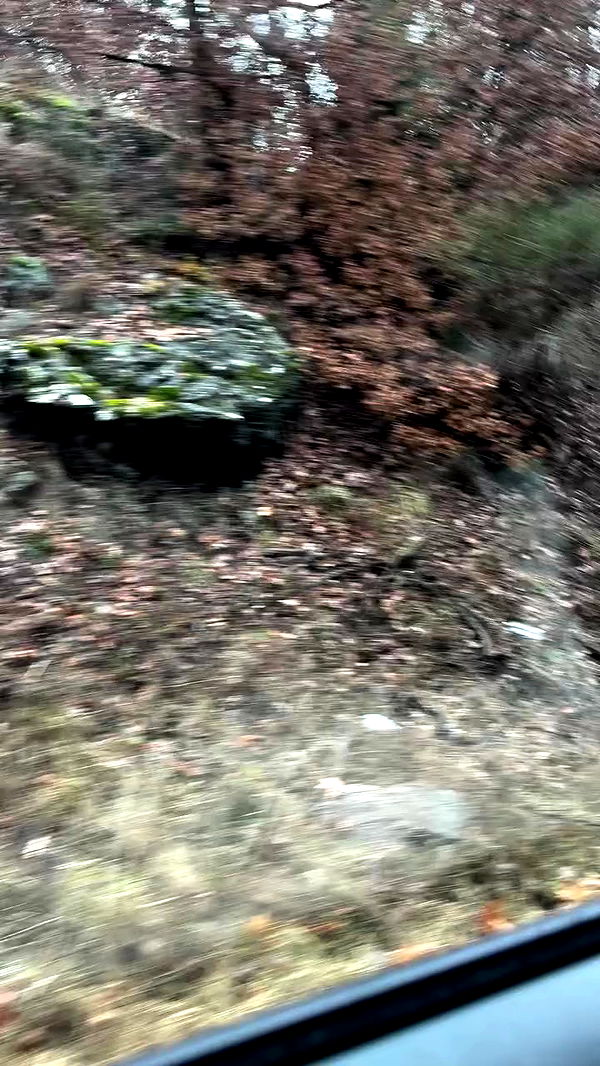 danaekontodiou archive video preview