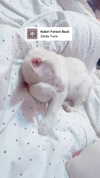 xxk1tty4nnaxx Altpins Profile Picture