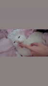 xxk1tty4nnaxx Altpins Profile Picture