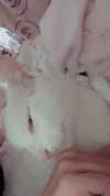 xxk1tty4nnaxx Altpins Profile Picture