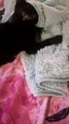 calyen Altpins Profile Picture