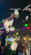 noa_mendel_ Altpins Profile Picture