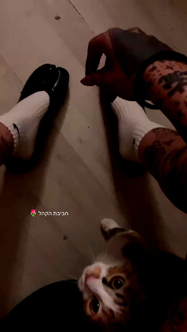 shanikaneko archive video preview