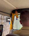 alenittta Altpins Profile Picture
