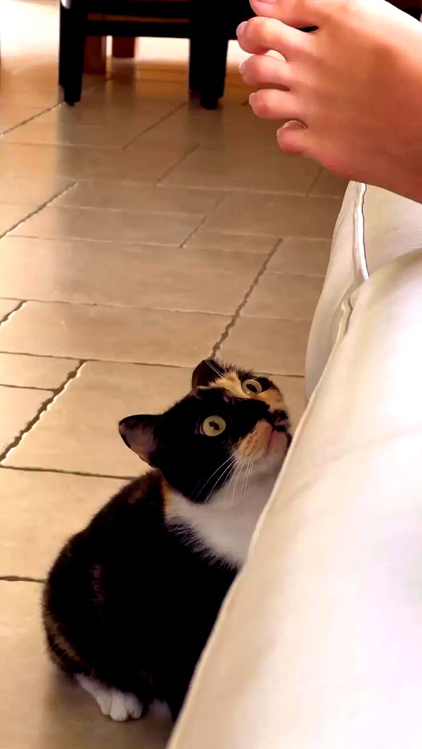 itsilanosh archive video preview