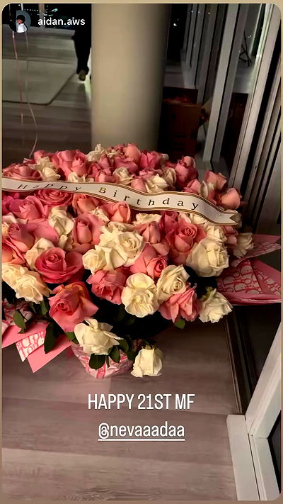 nevaaadaa nevaaadaa archive video