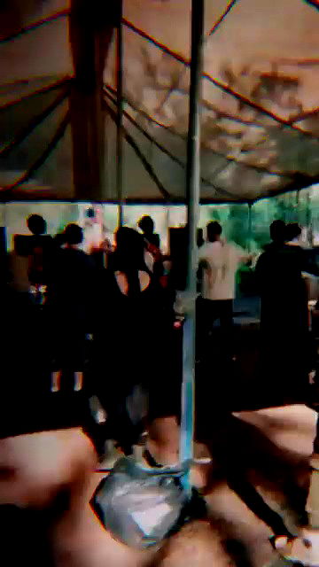 romy_ayalla_lavi archive video preview