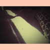 selenagomez Altpins Profile Picture