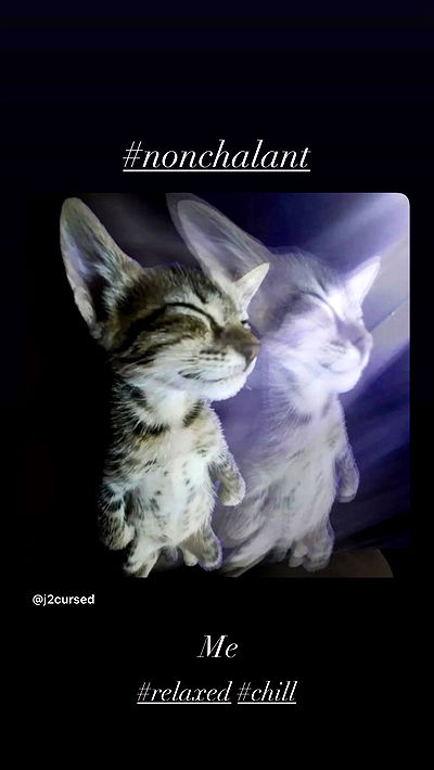 liashaked liashaked archive video