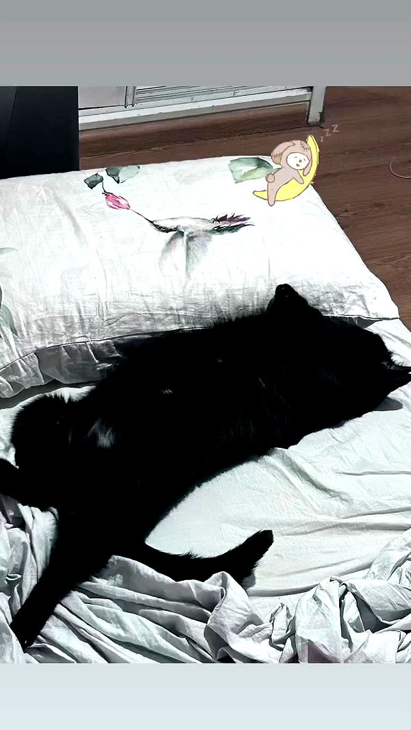 hellokittyangel666 archive video preview