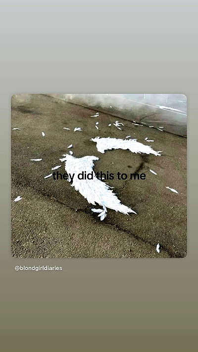 moonliliaght moonliliaght archive video