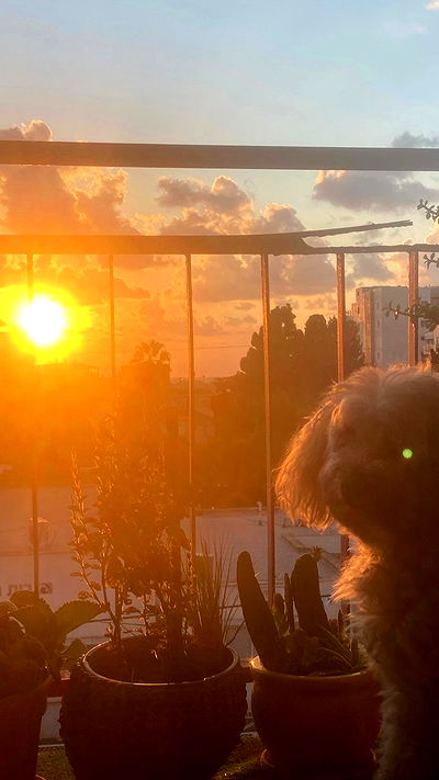 feelbetterinmysweater feelbetterinmysweater archive video