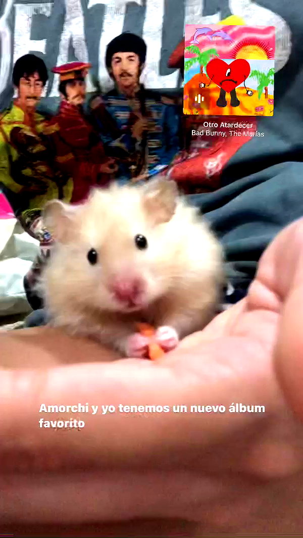 claudiagarmaa archive video preview