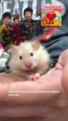 claudiagarmaa Altpins Profile Picture