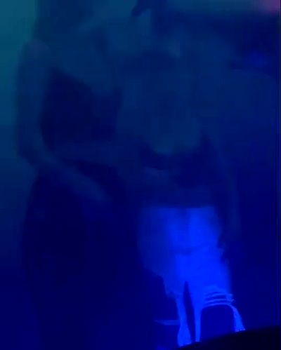 piper.jaylen piper.jaylen archive video