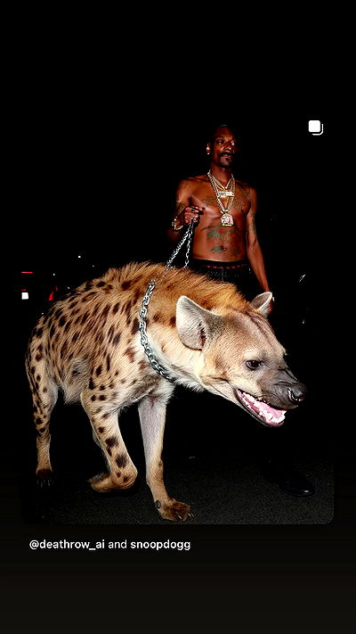 feelbetterinmysweater feelbetterinmysweater archive video