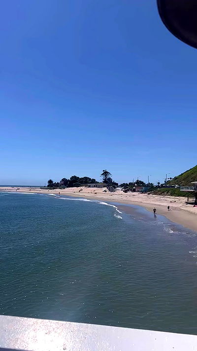 bakedsloths bakedsloths archive video