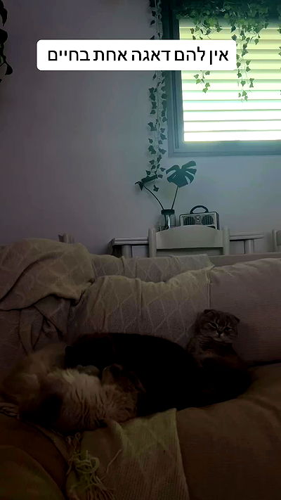 laluzone laluzone archive video