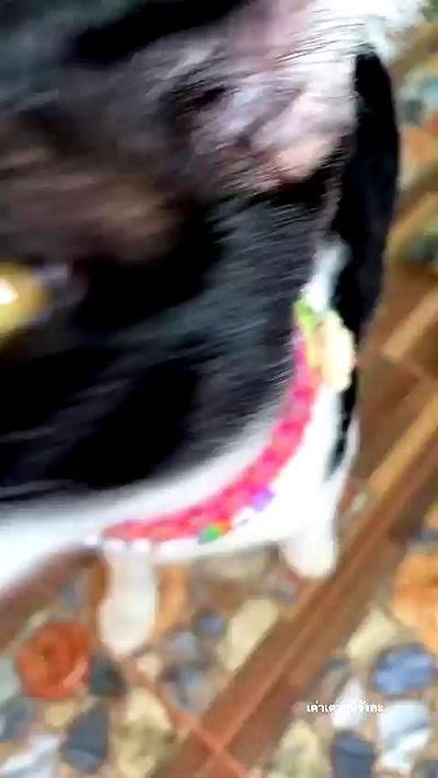 oqr0_ oqr0_ archive video