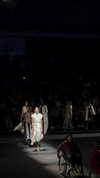 dianavgalvis Altpins Profile Picture