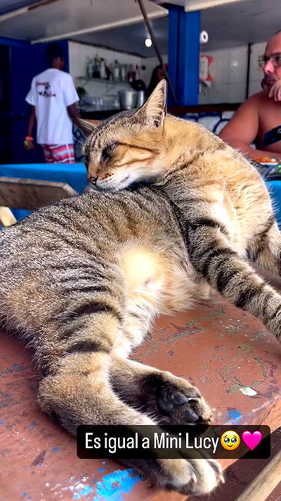 shunli__mei shunli__mei archive video