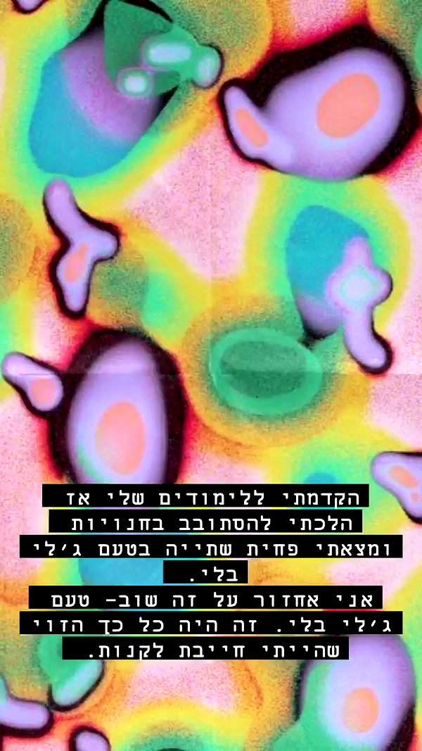 noy__erel archive video preview