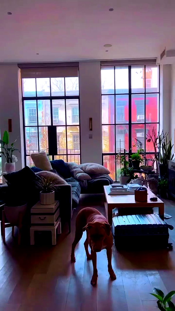 stateofrachel archive video preview