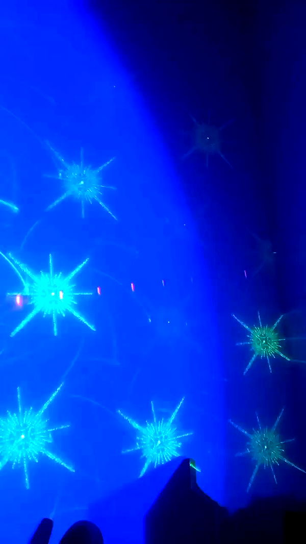 noyaislilith333 archive video preview