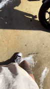 shanidahan7 Altpins Profile Picture