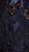 rafael.avcioglu Altpins Profile Picture