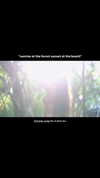 noa_mendel_ Altpins Profile Picture