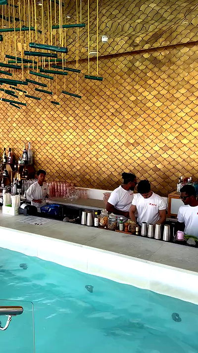 roni.benshushan roni.benshushan archive video