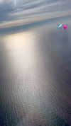 alinaxlova_ Altpins Profile Picture