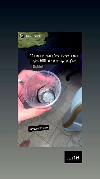 liashaked liashaked archive video