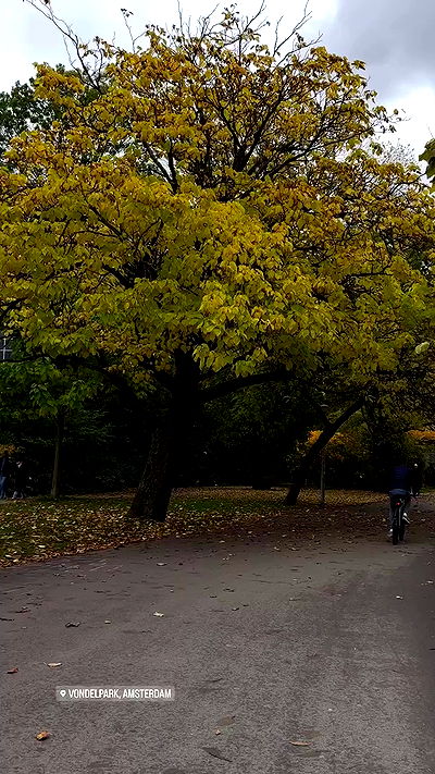 roni.benshushan roni.benshushan archive video