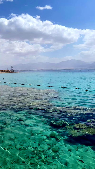 g.a.l.1.a g.a.l.1.a archive video